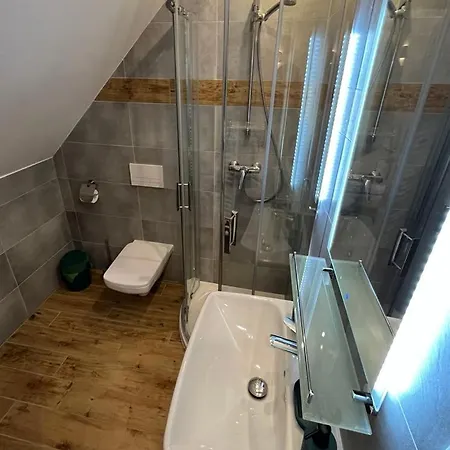 Sasanka 3* دوشنيكي زدروي