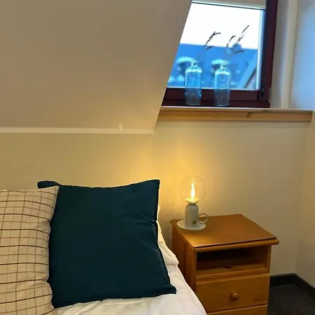 Sasanka Duszniki Zdrój