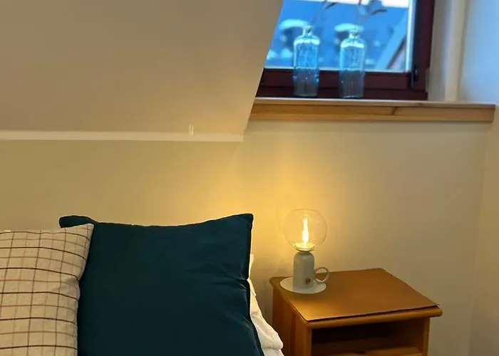 Sasanka Duszniki Zdroj